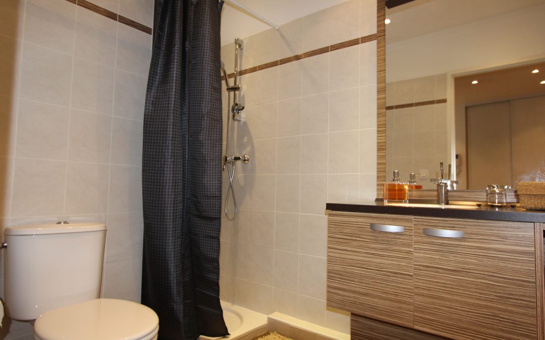 Salle de bains avec douche