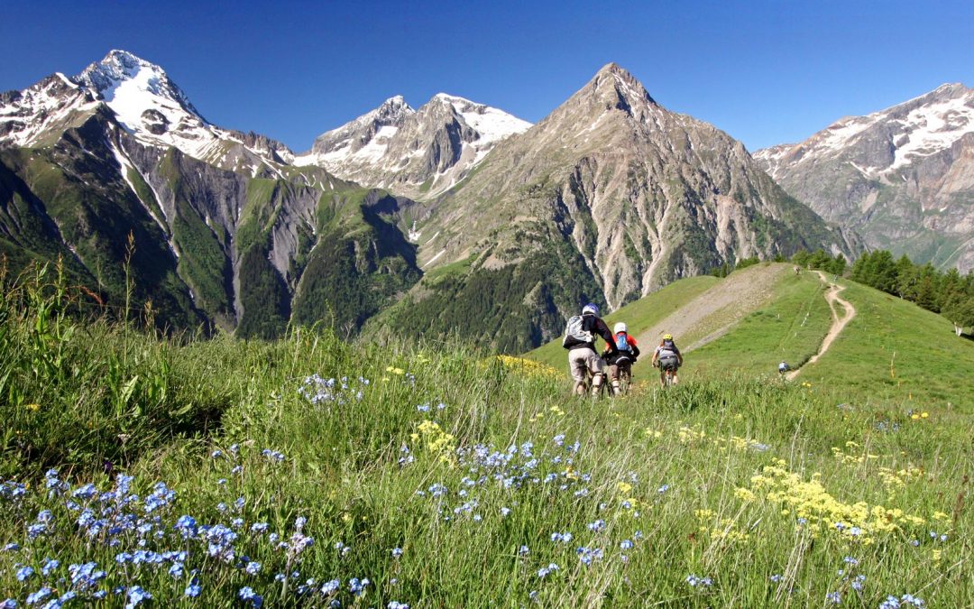 Alpes 4